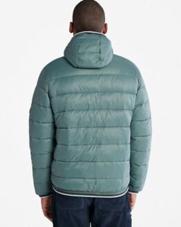 Фото вещи Timberland Garfield Демисезонная куртка (TH6988) Мужское цвет - Зелёный материал - Нейлон